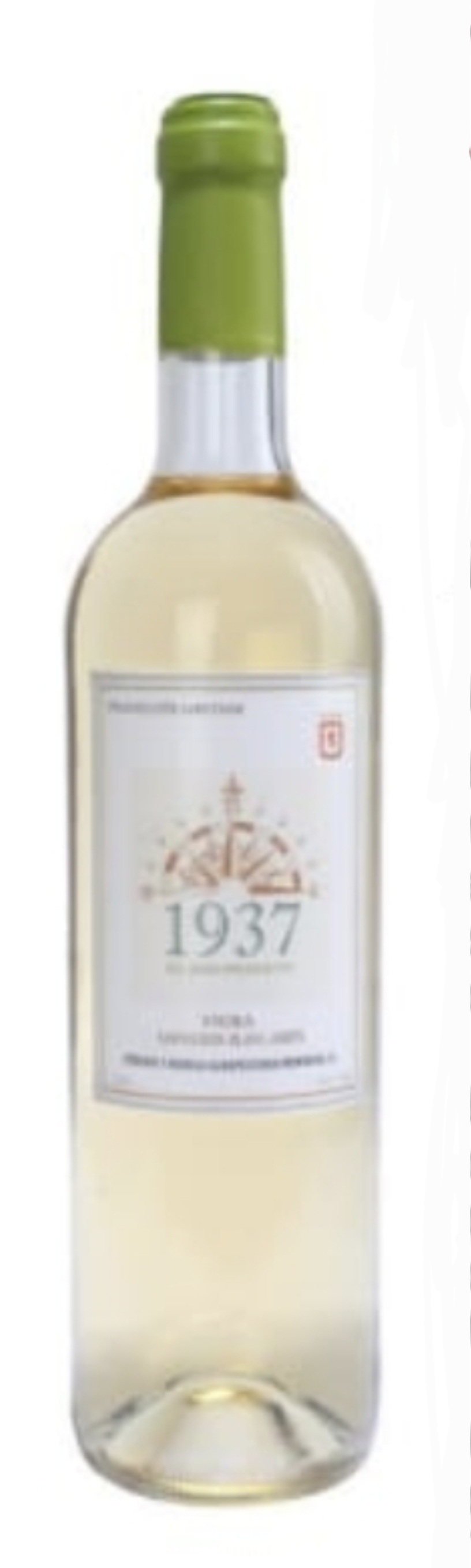 Vino Blanco 1937